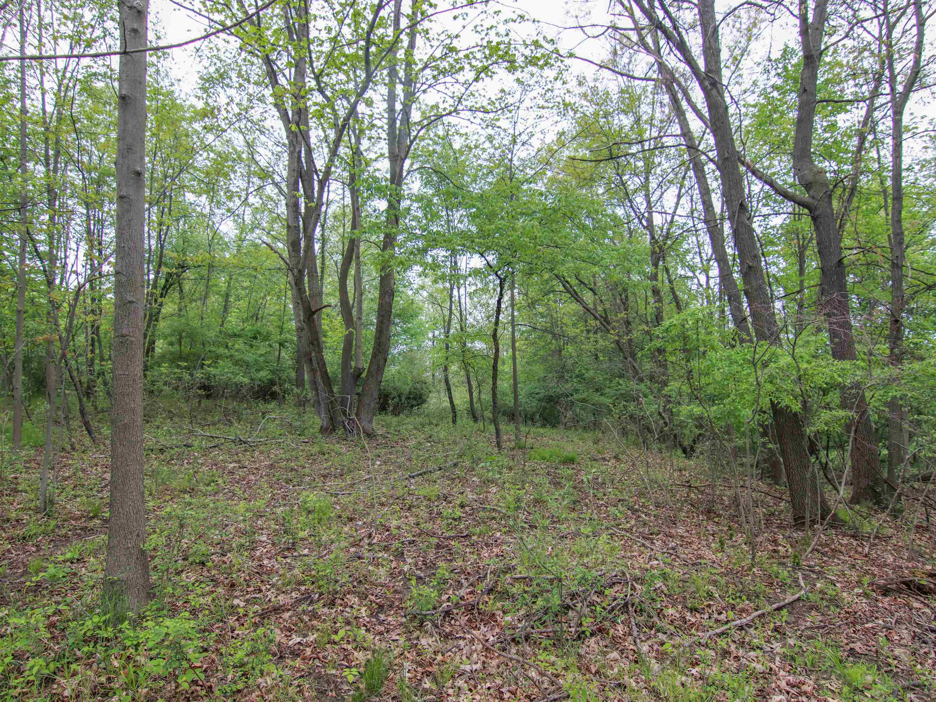 000-Unit 3 Ledgewood Ravine Trail