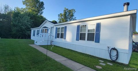 443 Pond View Drive E Morrice Village MI 48857