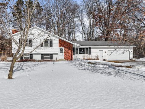8320 W Whispering Pine Circle Lake Township MI 49651