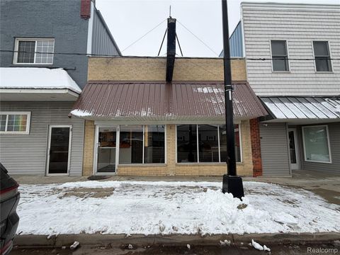 4084 Huron Street North Branch Village MI 48461