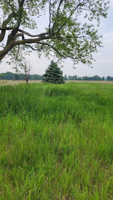 2305 W Juddville Road Rush Township MI 48867