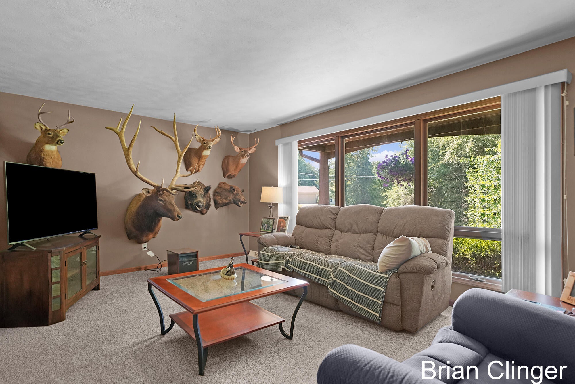 4161 Springfield Court