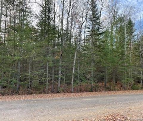 9763 High Banks Benton Township MI 49721