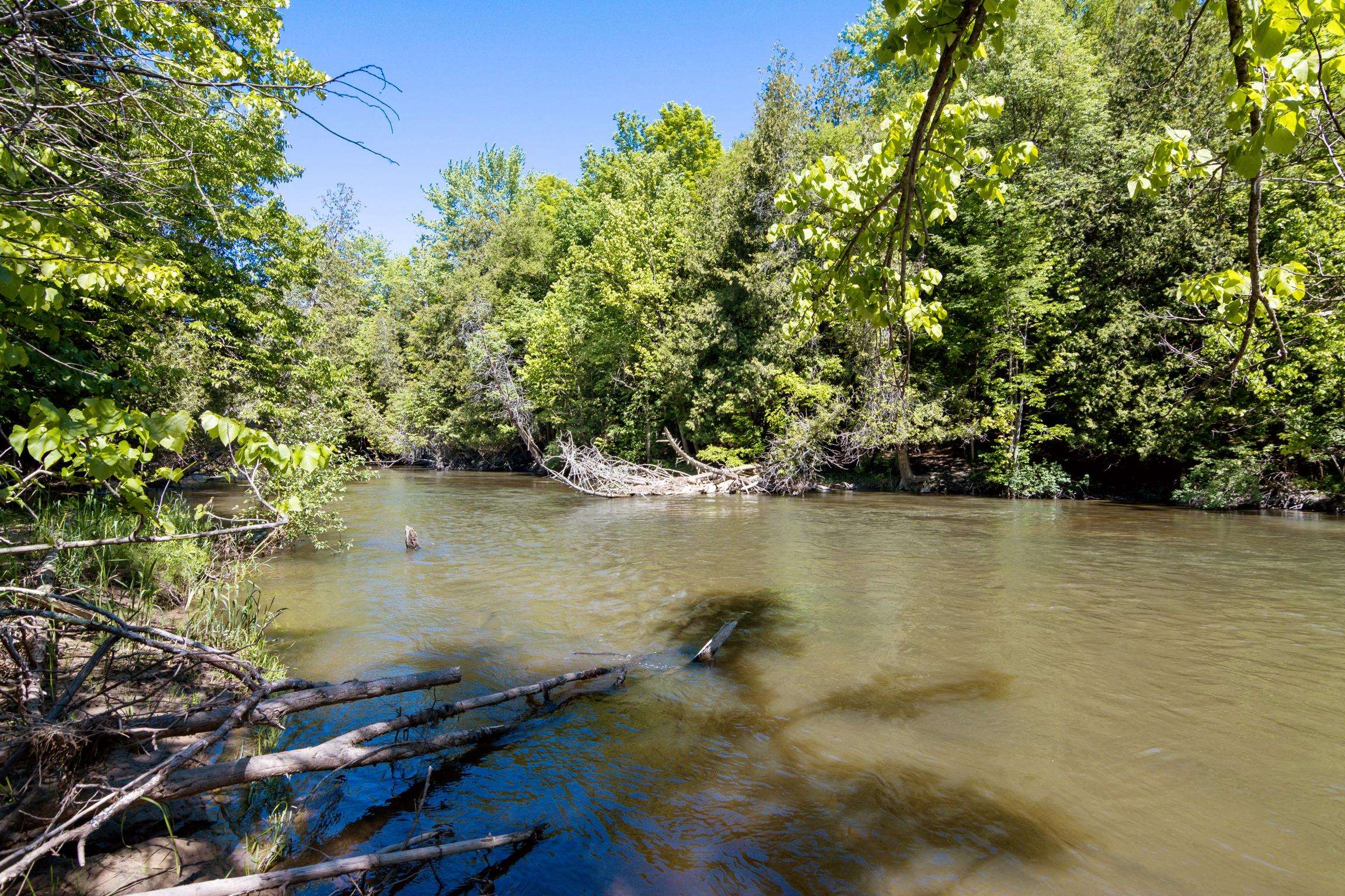 0 Betsie River Court