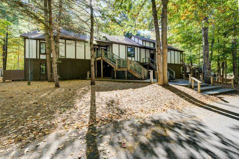 6497 Deer Path Custer Township MI 49615