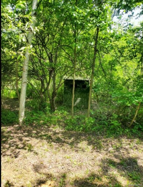 Photo for 0000 Clothier Road