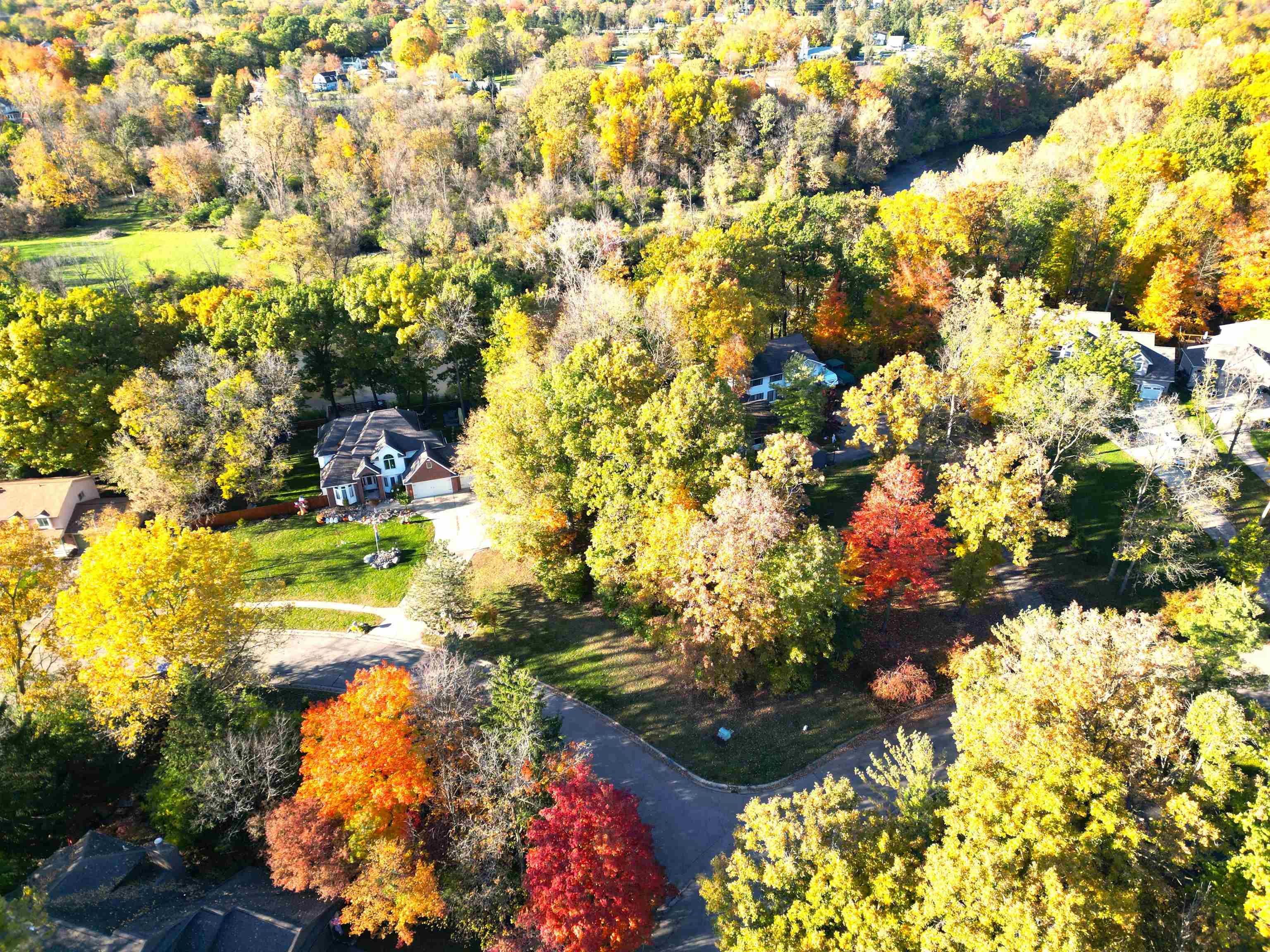 503 Dutch Mill Drive