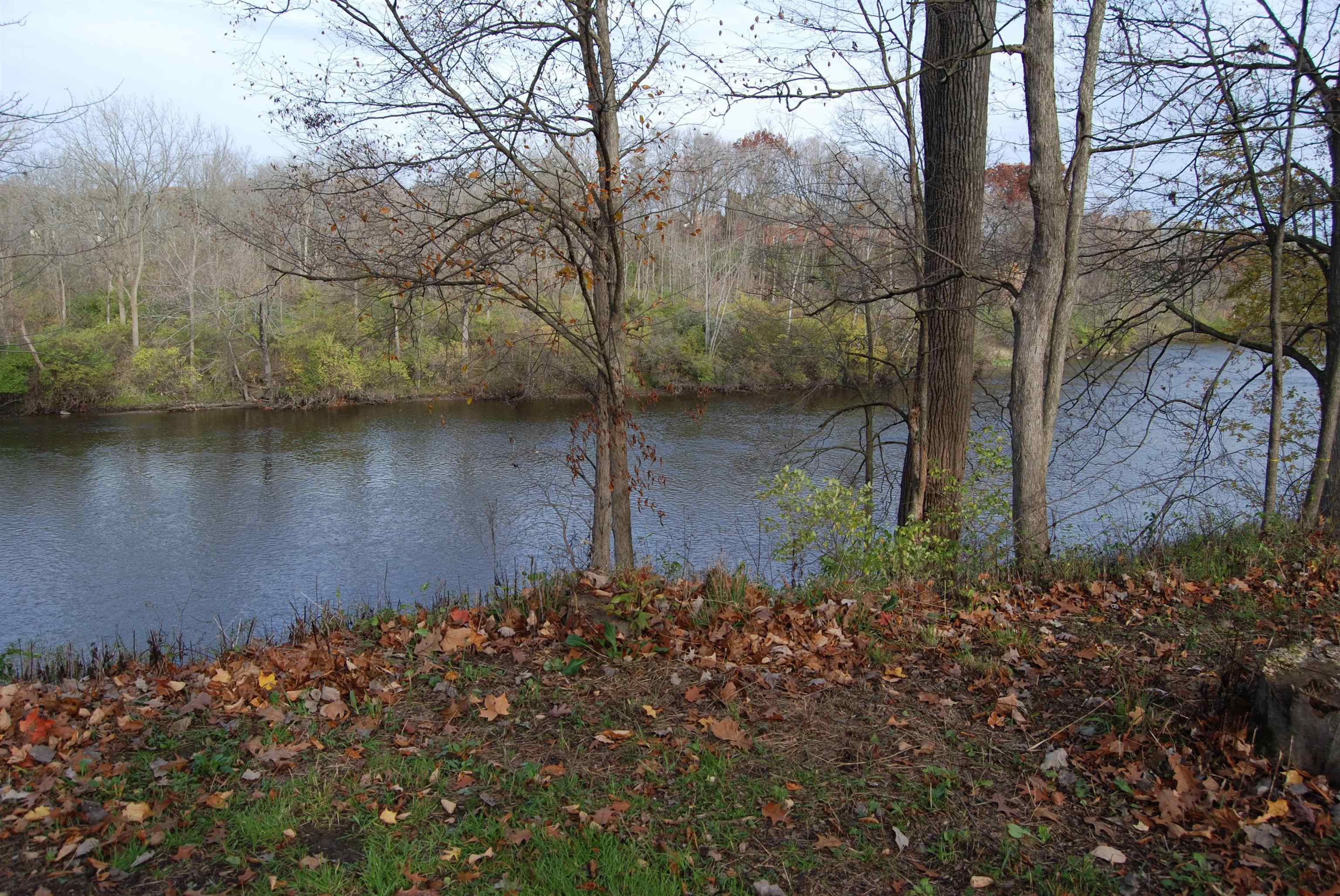 503 Dutch Mill Drive