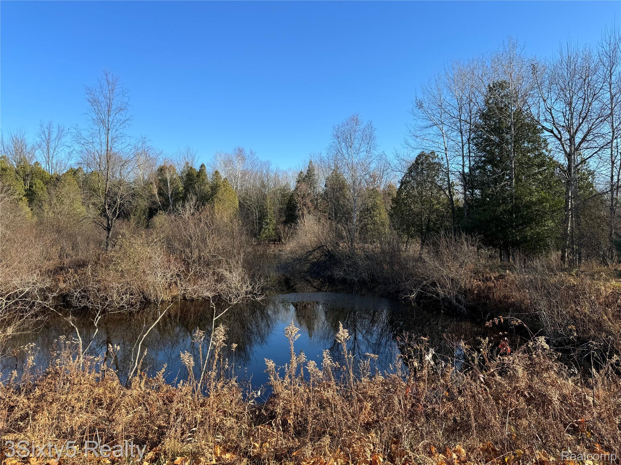 7710 10 Mile Road