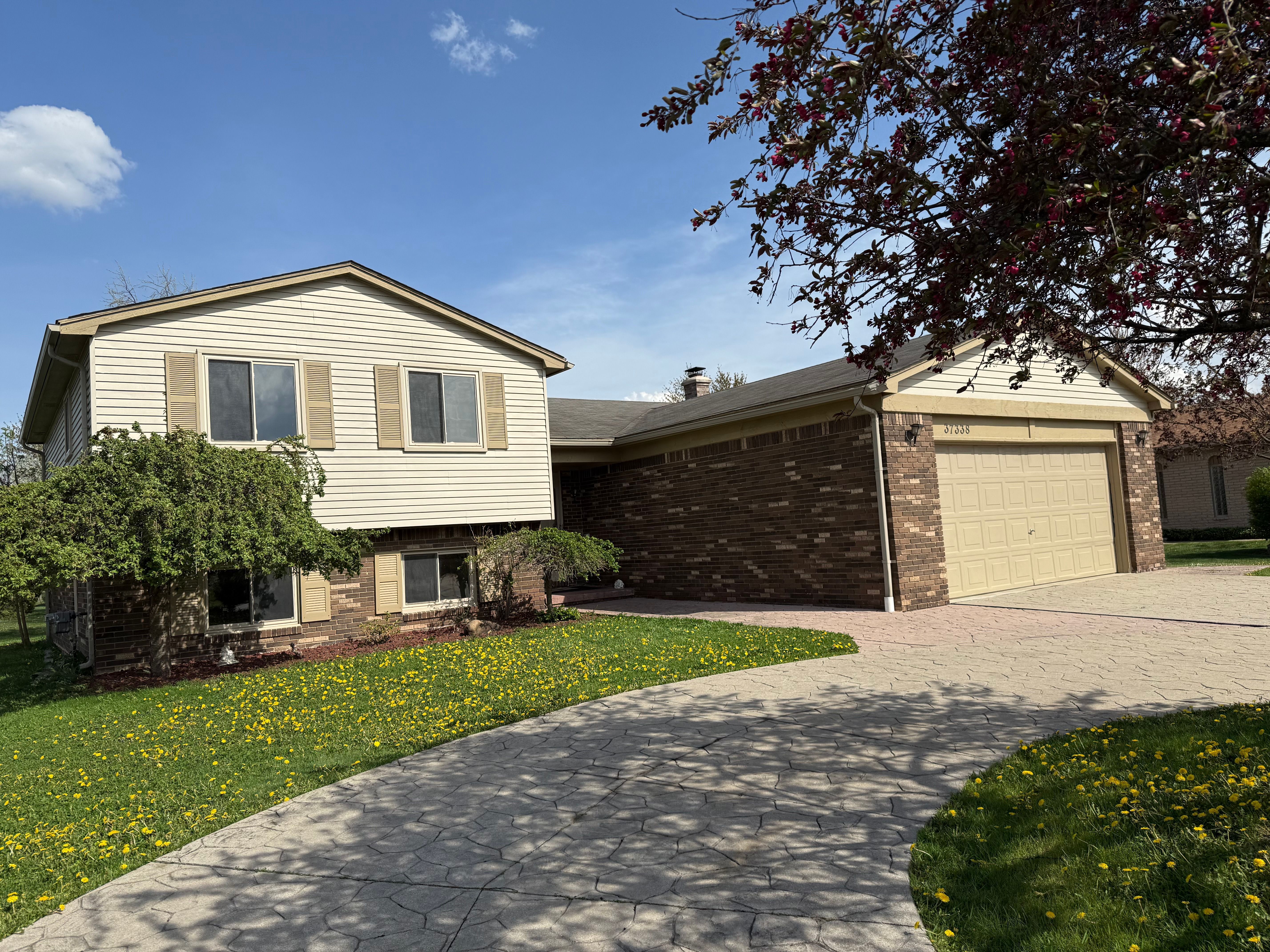 37338 HIGHLITE Drive