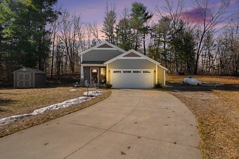 740 W River Hills Court Newaygo City MI 49337
