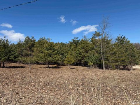 VL Lot 184 Chippewa Trail Trail Evart Township MI 49631