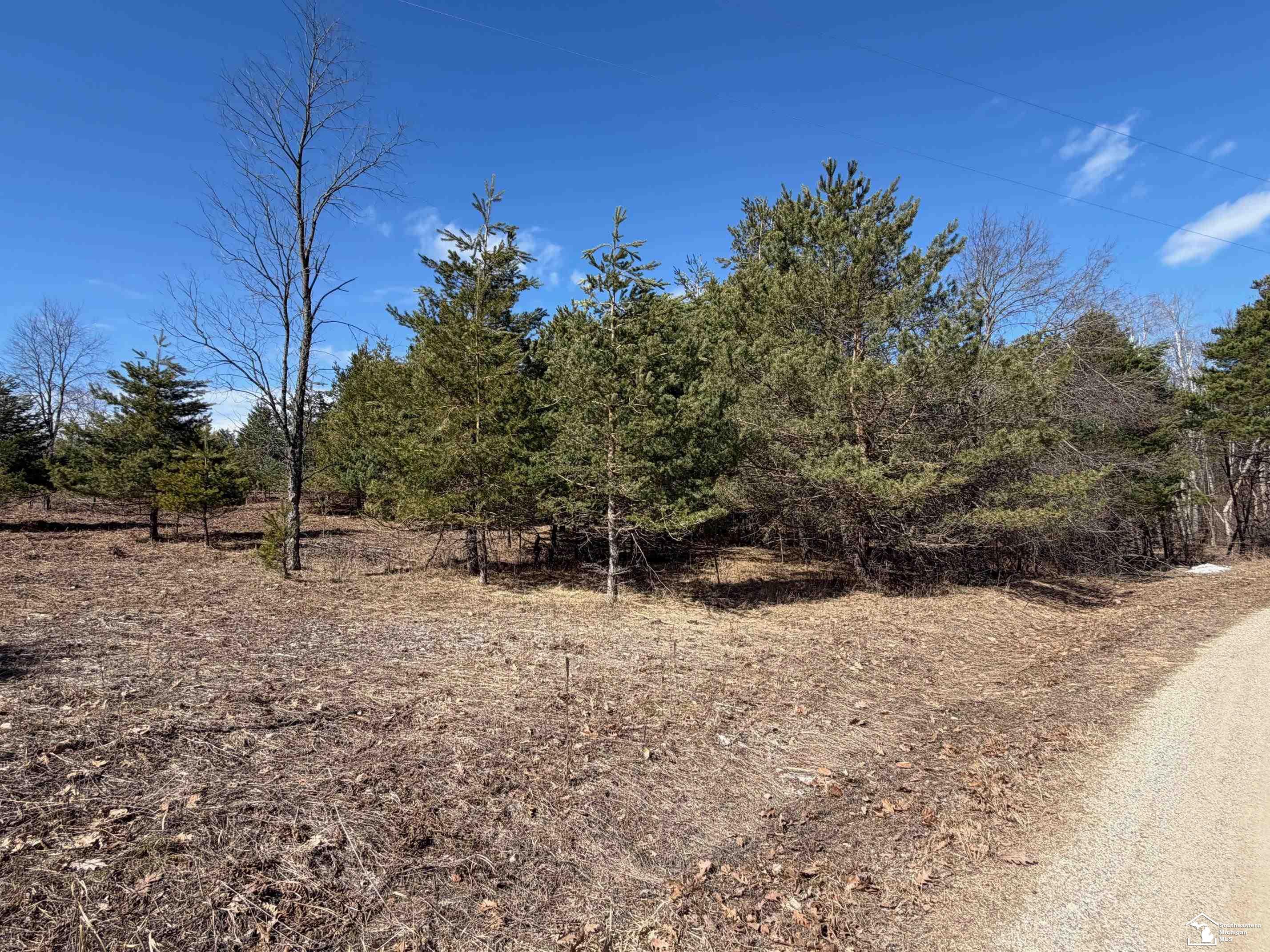 VL Lot 184 Chippewa Trail Trail