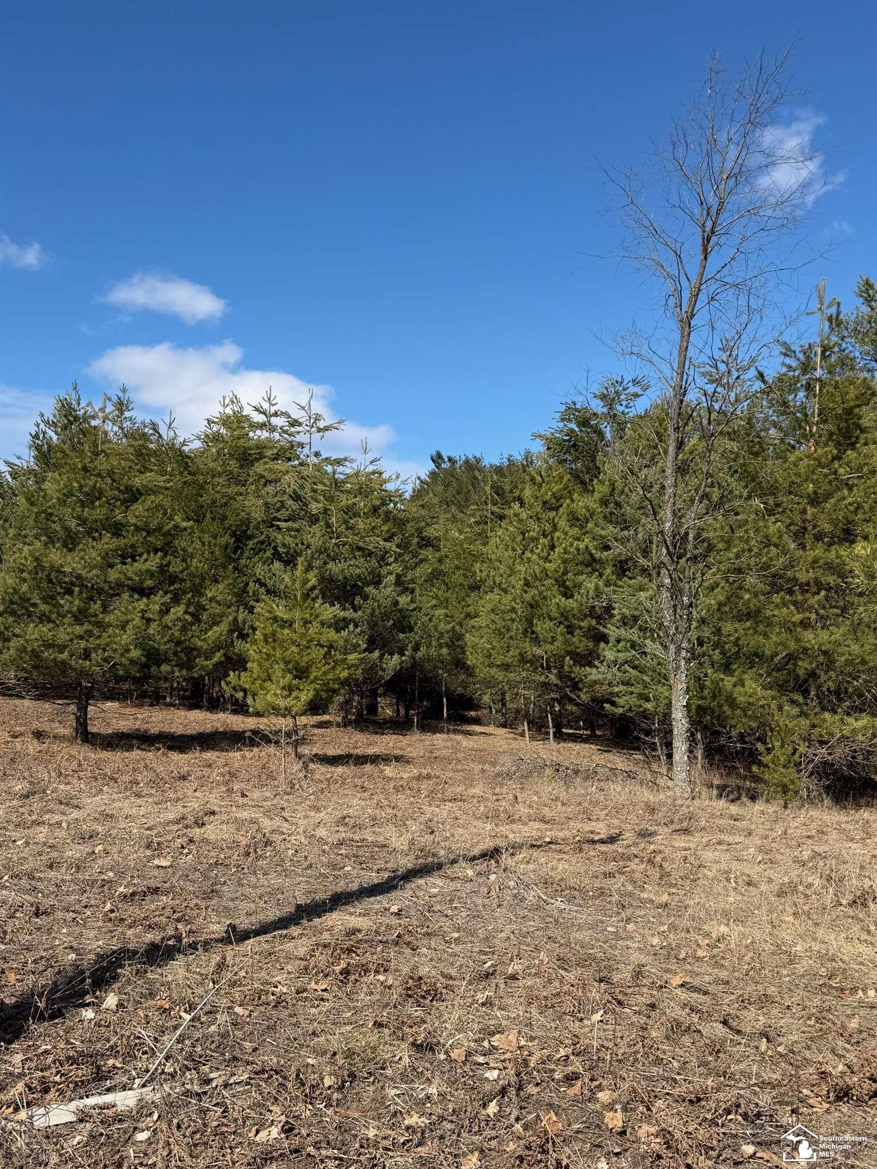 VL Lot 184 Chippewa Trail Trail