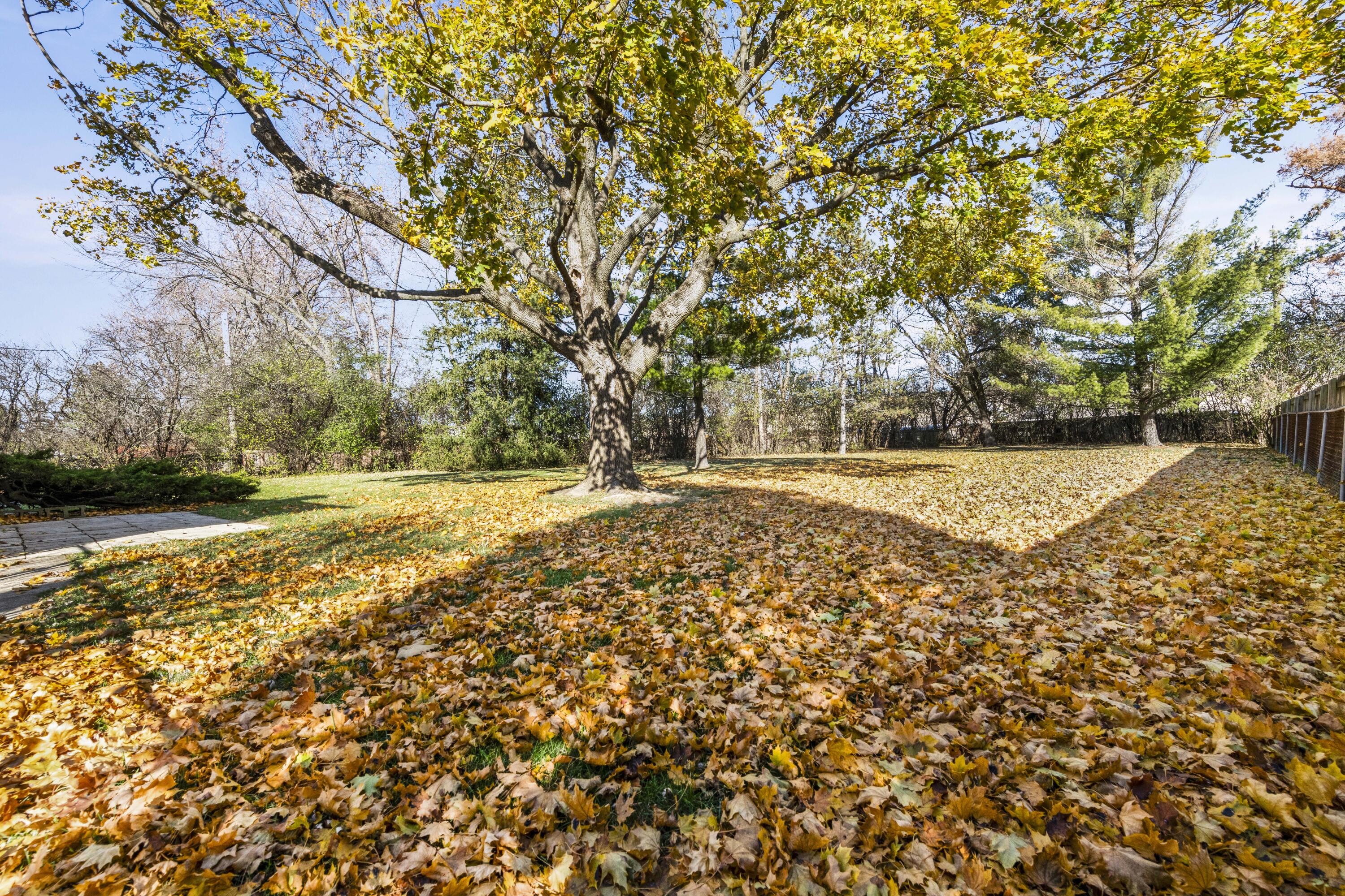 29166 Lorikay Street