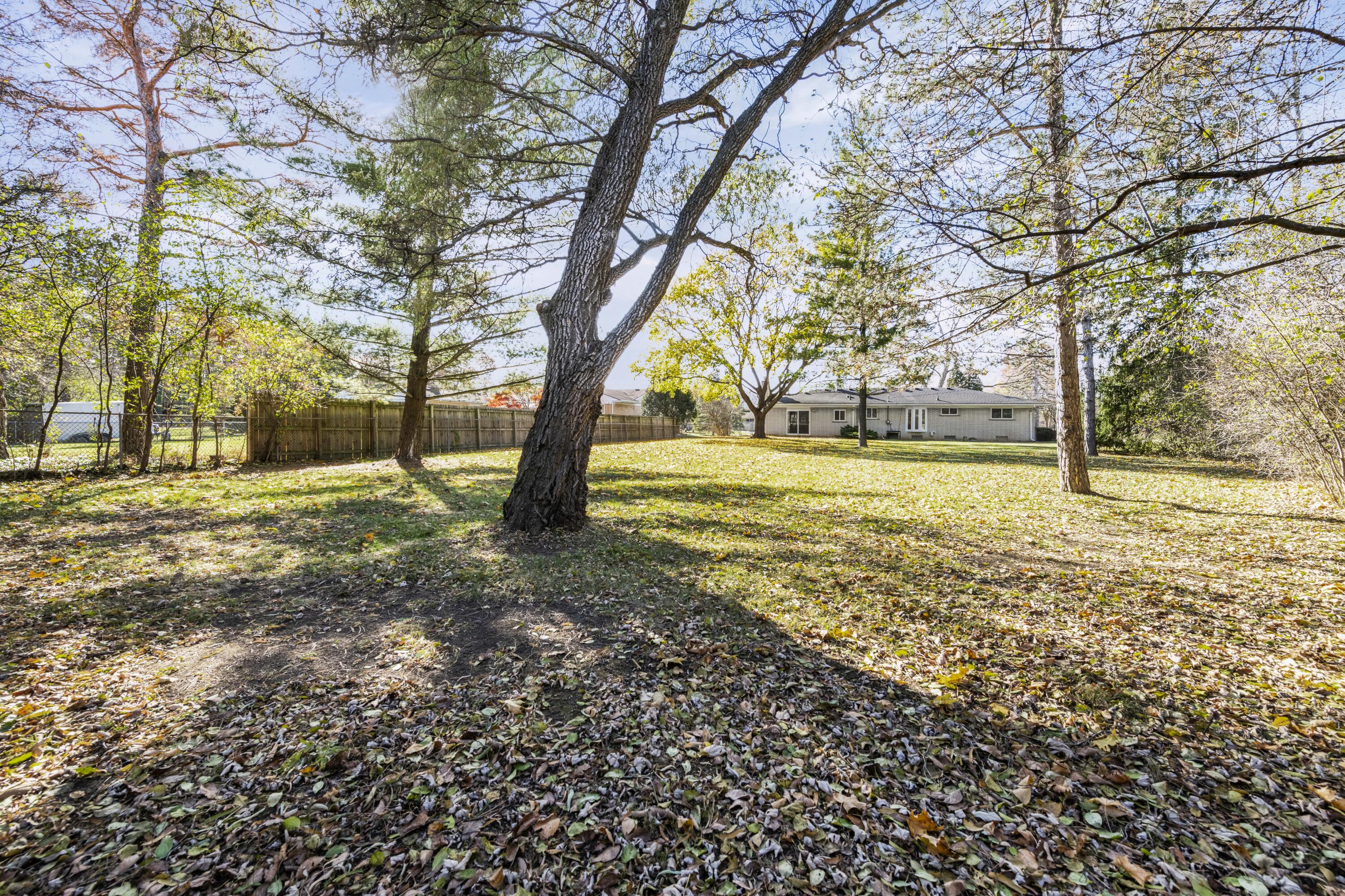 29166 Lorikay Street