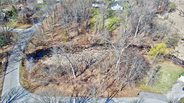 TAMORA ST, COMMERCE TOWNSHIP, MI 48382 - Image de630f3da92e06cb115cbbdaecd2f085/881766832