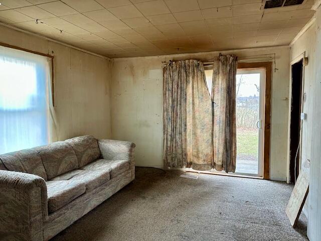 3593 S Maple Island Road