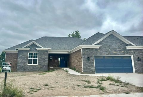 Photo of 23234 Primrose Lane, Brownstown Charter Township, MI 48183 (MLS # 81025057487)