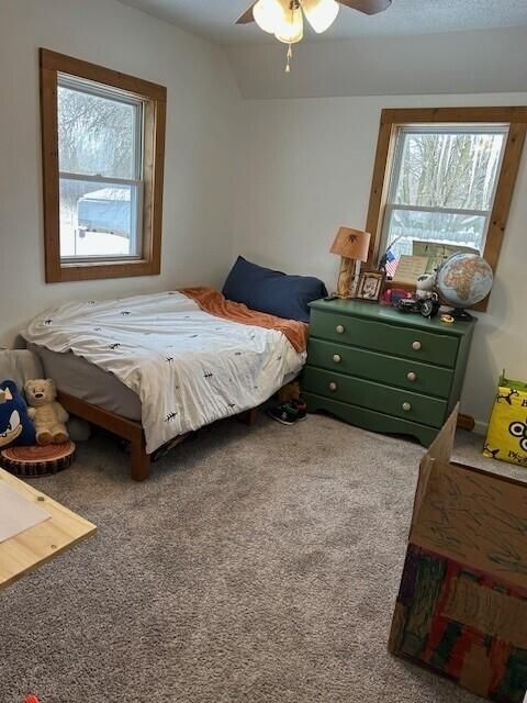 A home in MarionTownship_Osceola