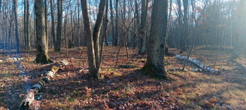 Photo for 1782 Hemlock Lane