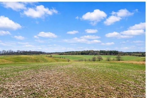 Photo for 00 Sanilac Rd