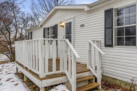 Tiny photo for 205 Monroe Street, Augusta Village, MI 49012 (MLS # 66025062414)