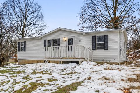 Photo of 205 Monroe Street, Augusta Village, MI 49012 (MLS # 66025062414)