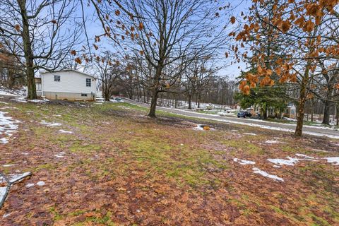 Tiny photo for 205 Monroe Street, Augusta Village, MI 49012 (MLS # 66025062414)