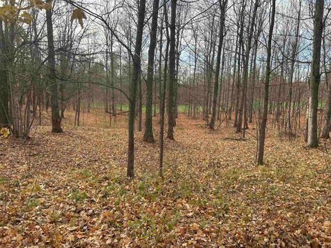 Lot 7 White Tail Drive Kearney Township MI 49615