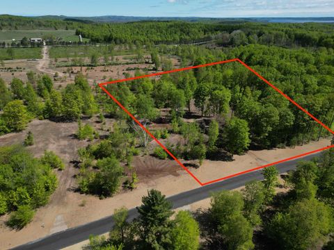 1155 E Solaris Way Kasson Township MI 49664