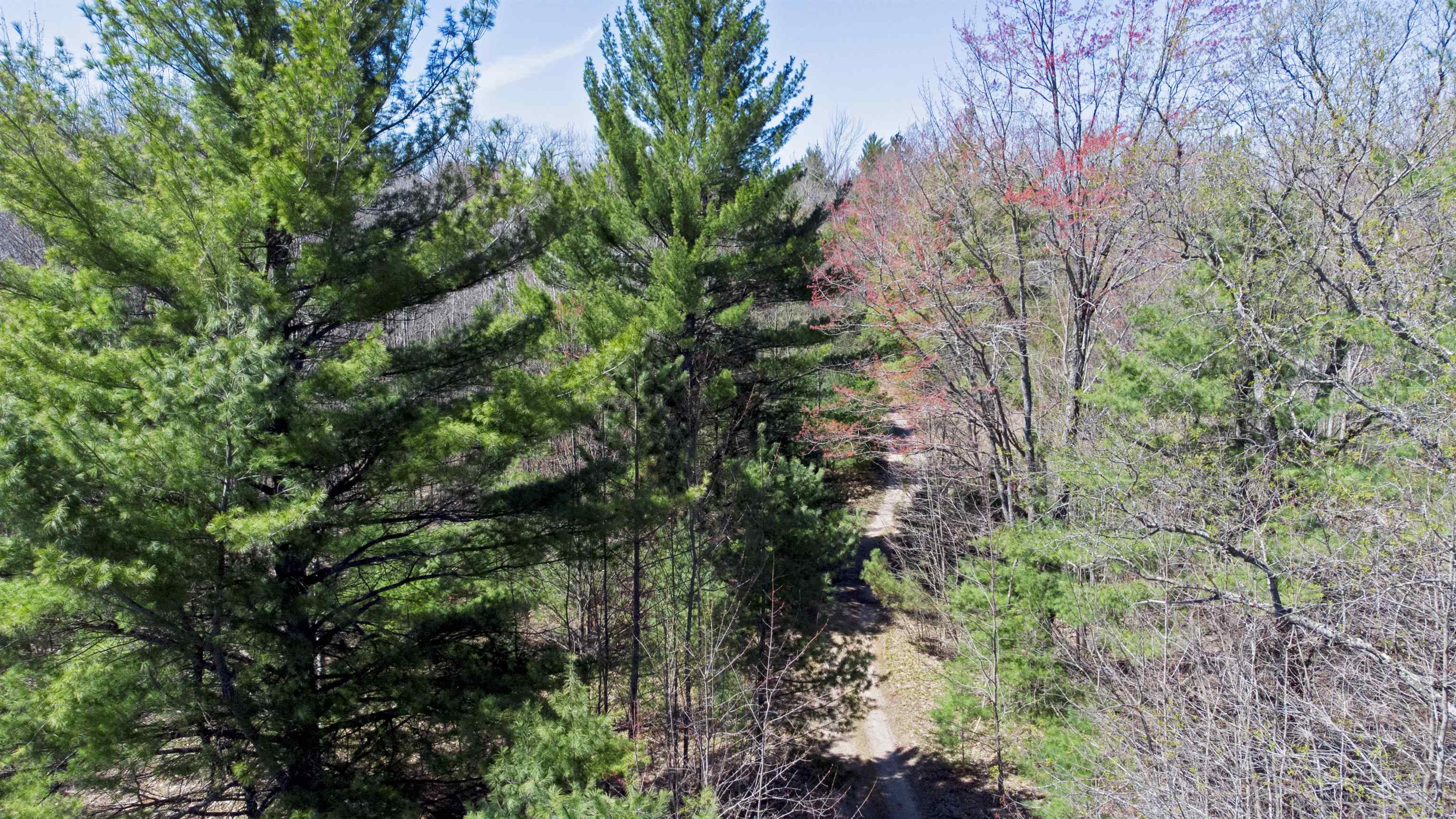 V/L SE Bobcat Trail
