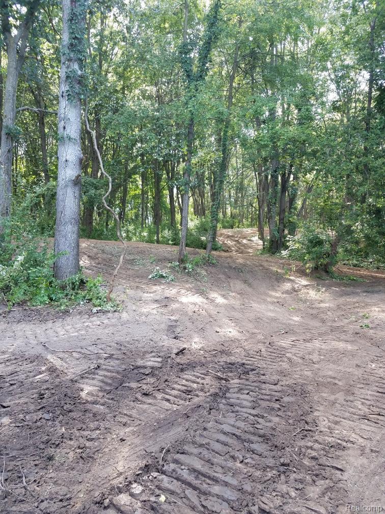 Vacant Land Reason Rd