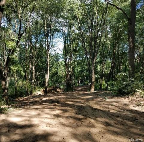 Vacant Land Reason Rd