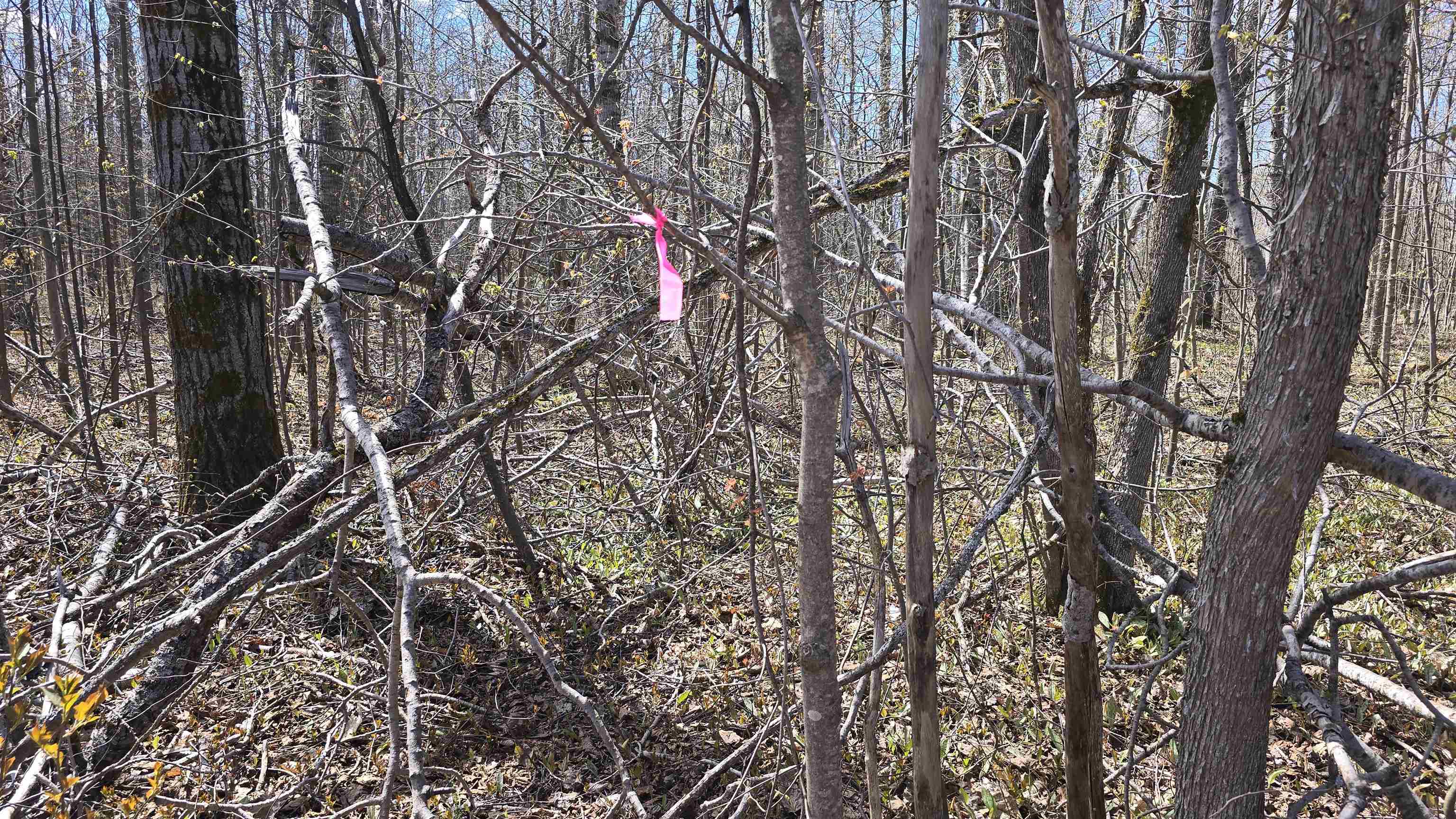 VL LOT 455 Pineview Drive