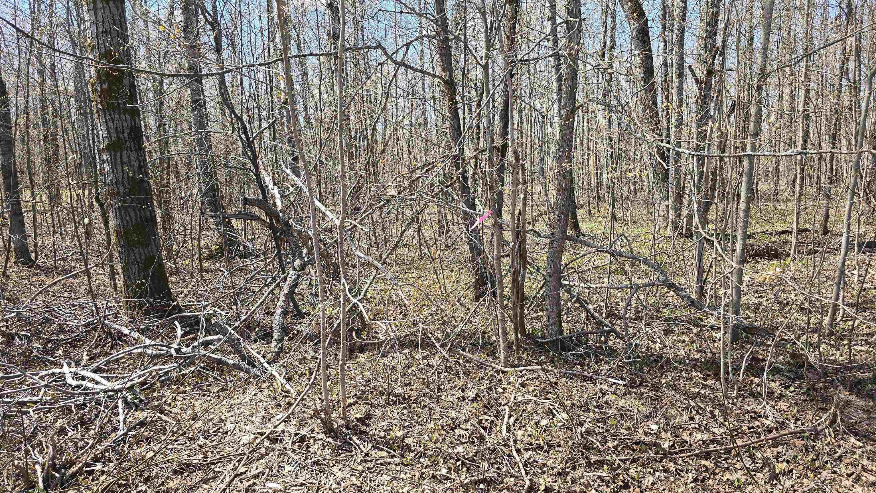 VL LOT 455 Pineview Drive