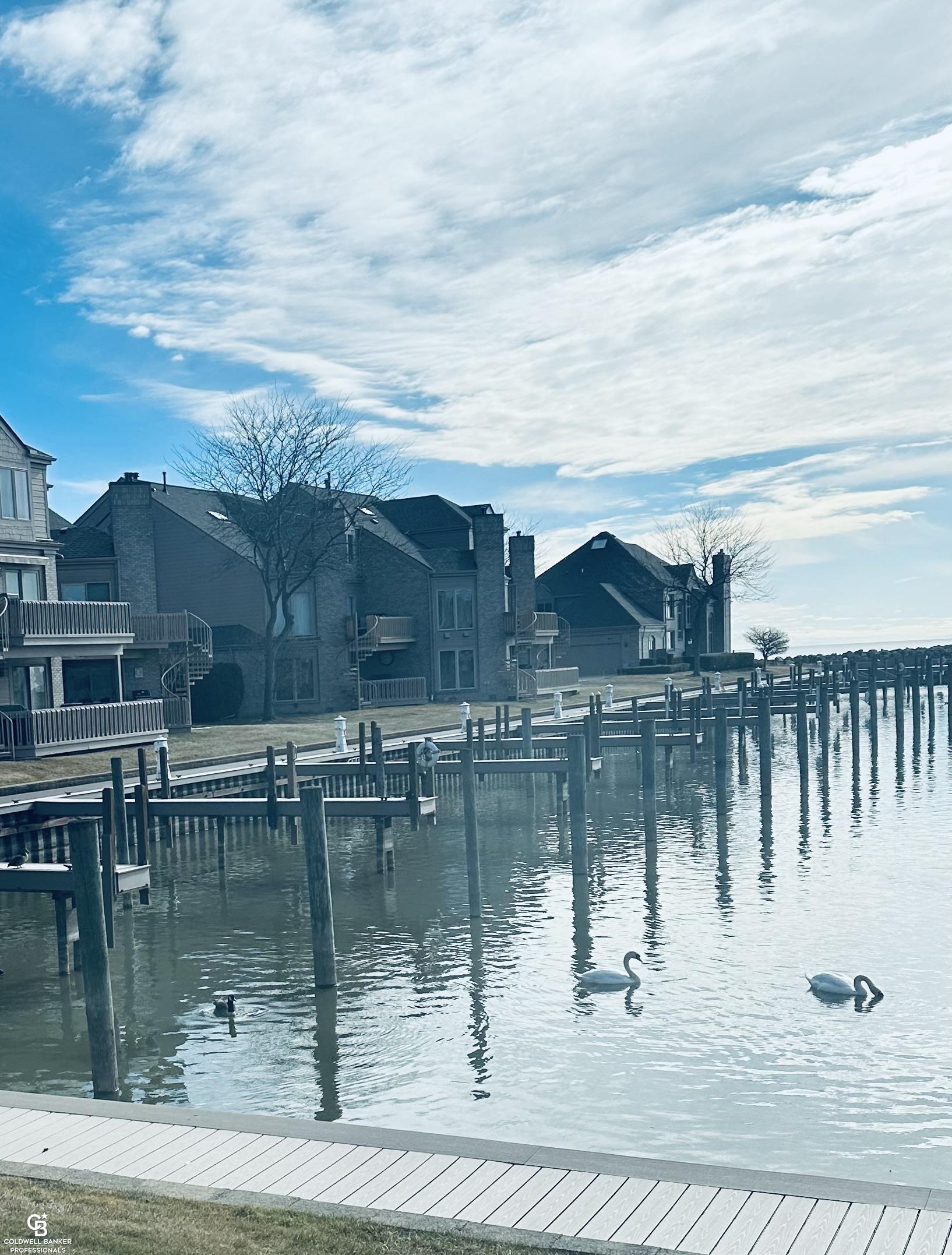 26301 harbour pointe dr n Drive