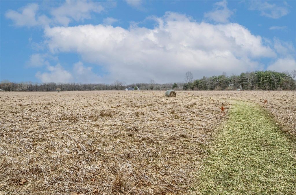 listing image 59