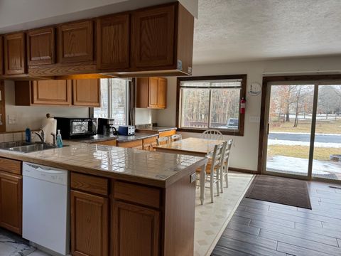 Tiny photo for 447 N Northern Light Road, Golden Township, MI 49436 (MLS # 65026005996)