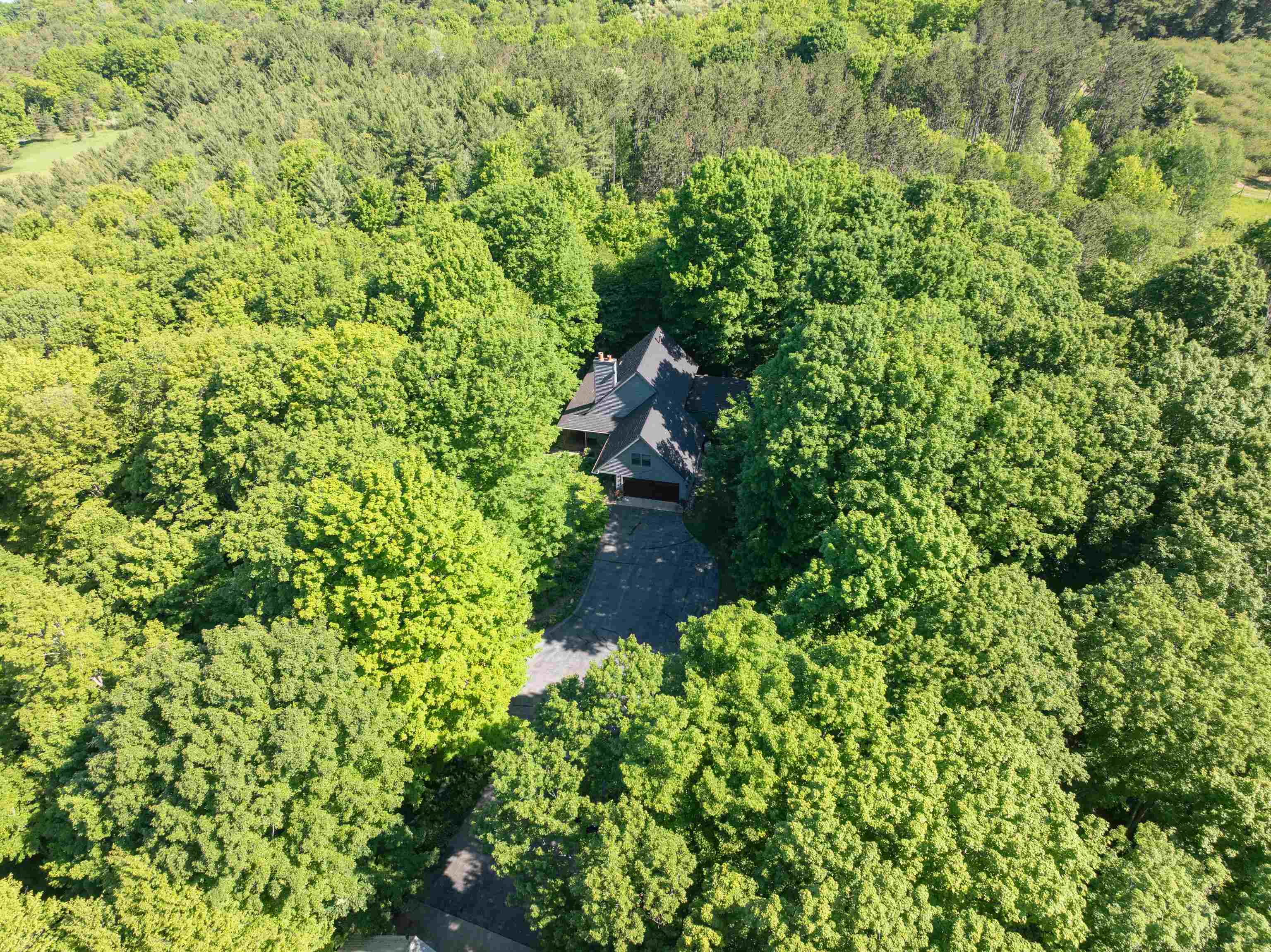 3285 S East Torch Lake Drive