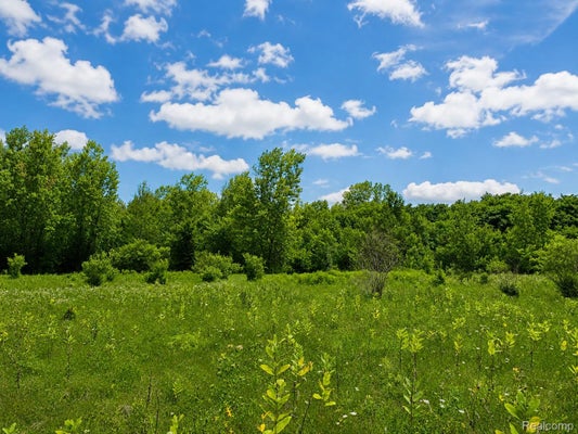 WHITE TAIL DR, GRAND BLANC, MI 48439 - Image e0dcc309a746cfc5b81ef4eebd7b74d3/1715775162