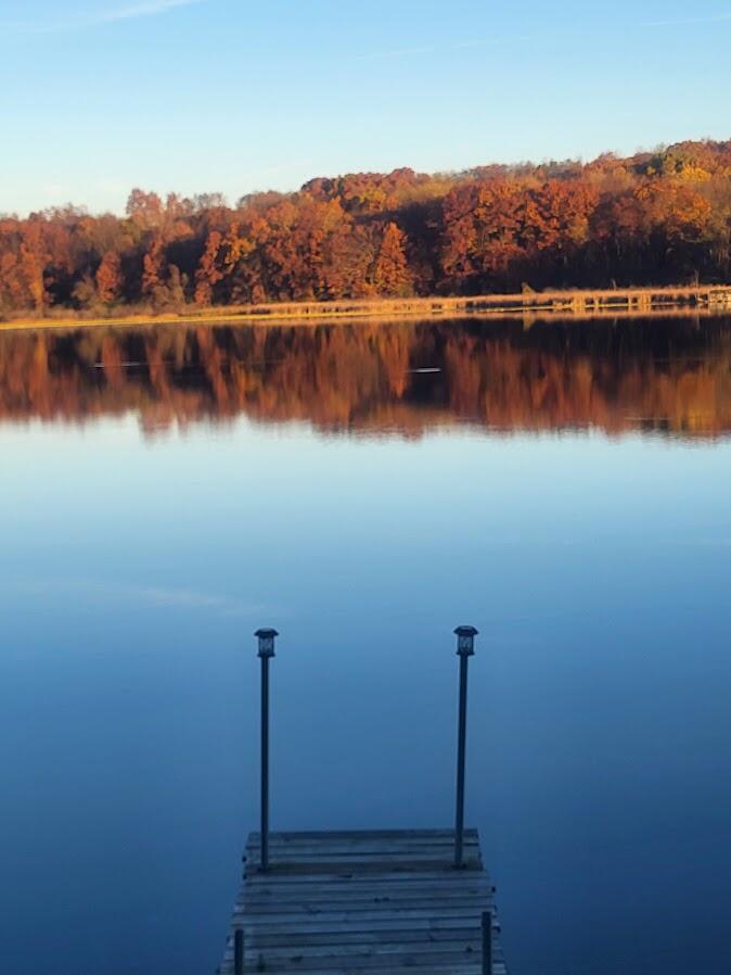 23536 Forest Shores Drive