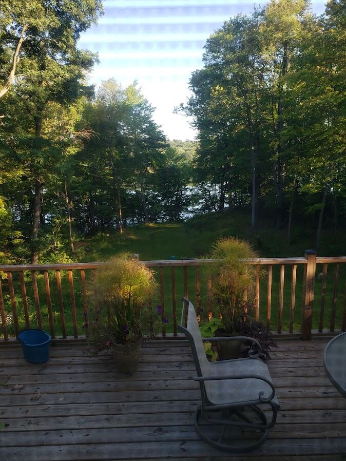 23536 Forest Shores Drive