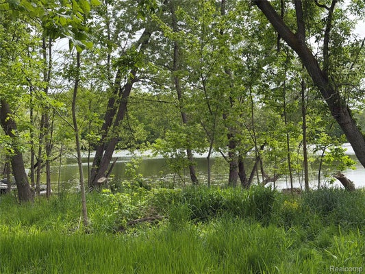 9200 PERRY ROAD, ATLAS, MI 48411 - Image e164dcd371ae6e8afca9941e75482996/388409416