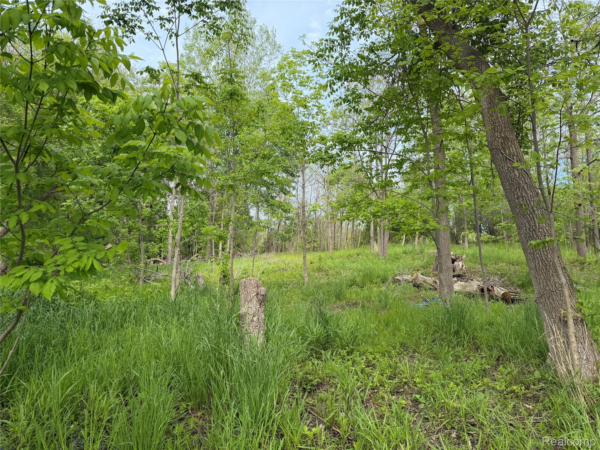9200 Perry Road