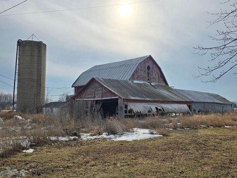 A home in BengalTownship_Clinton