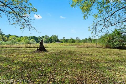 9800 Beeman Road Lyndon Township MI 48118