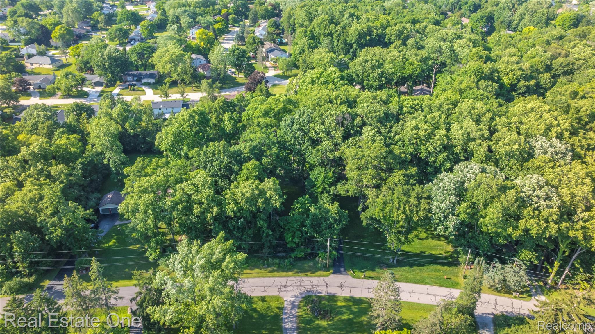 28190 WILDWOOD Trail