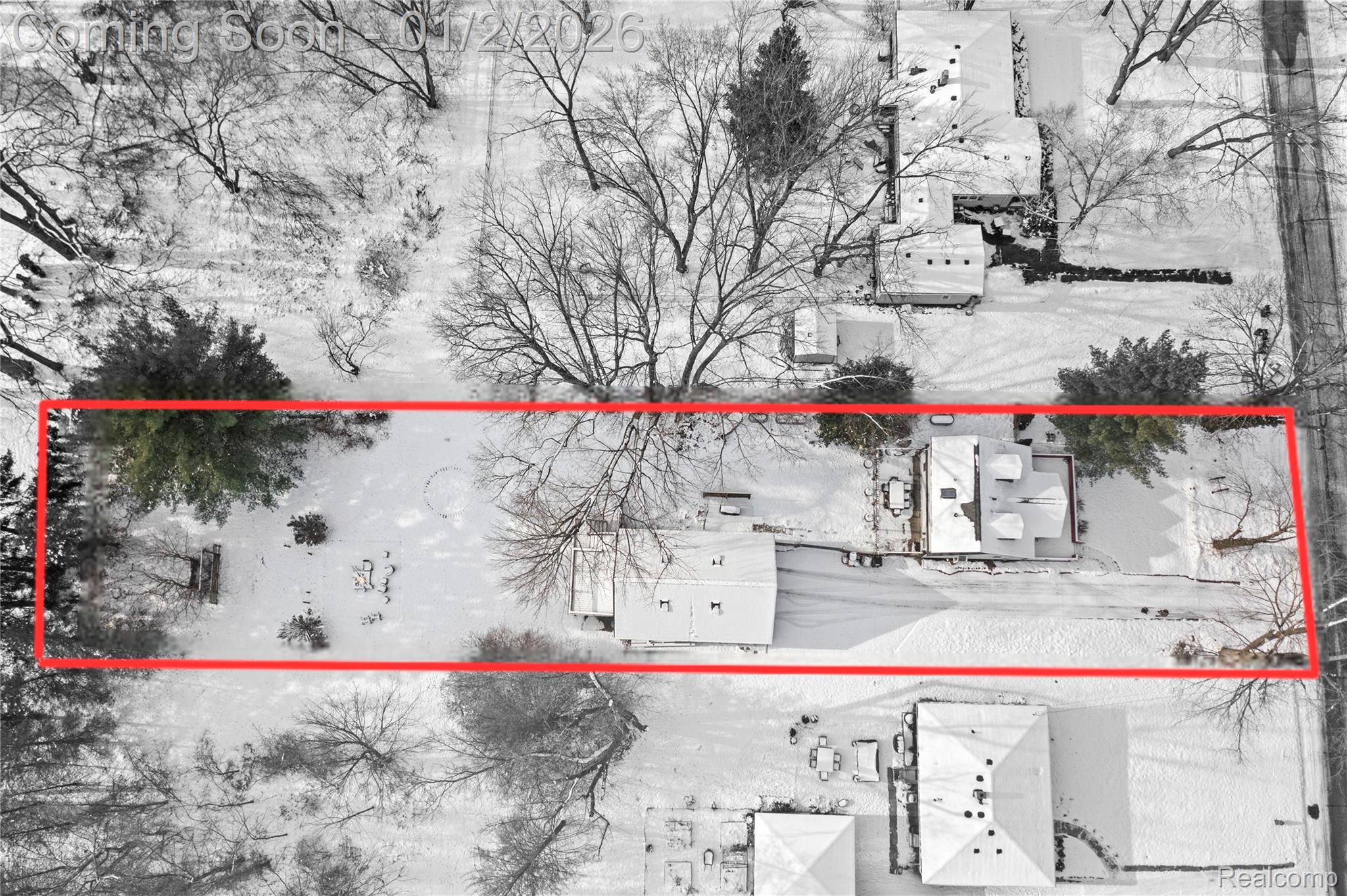 33685 Orangelawn Street