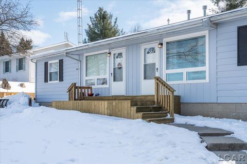 3917 Spielman Road Adrian Township MI 49221